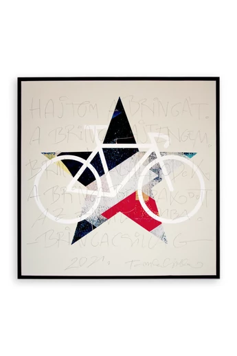 Tomka Csilla / BikeStar B Lindlip 3-03 Giclée fine art print on alu plate in wood frame 50x50 / BringaCsillag Giclée képzőművészeti nyomat alulemezen fakeretben Tomka Csilla / BikeStar B Lindlip 3-03 Giclée fine art print on alu plate in wood frame 50x50 / BringaCsillag Giclée képzőművészeti nyomat alulemezen fakeretben